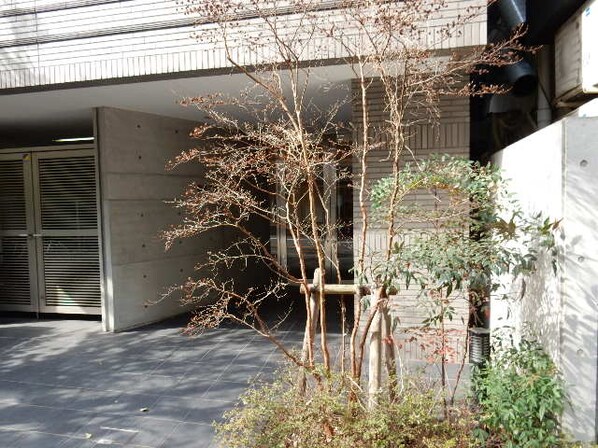 麹町二番町マンションの物件内観写真